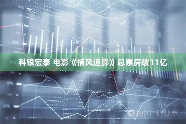 科银宏泰 电影《捕风追影》总票房破11亿