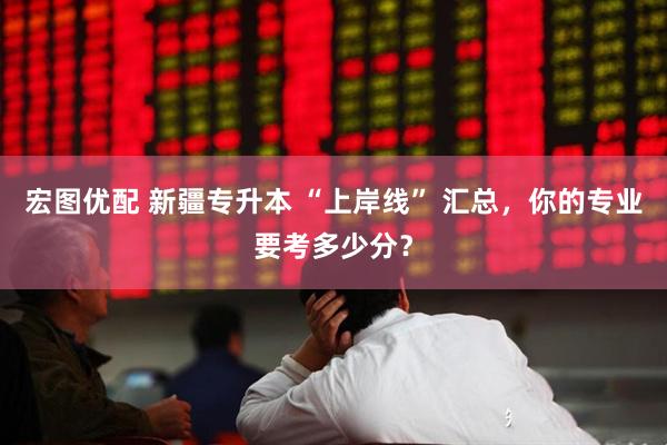 宏图优配 新疆专升本 “上岸线” 汇总，你的专业要考多少分？