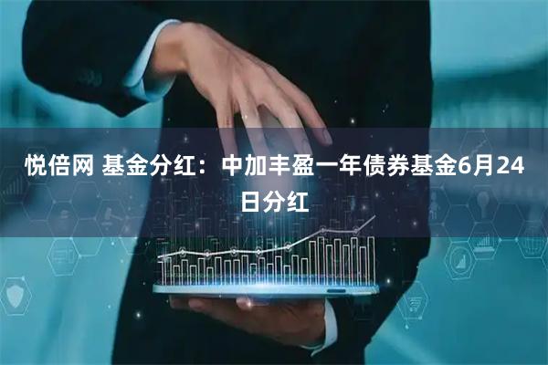 悦倍网 基金分红：中加丰盈一年债券基金6月24日分红