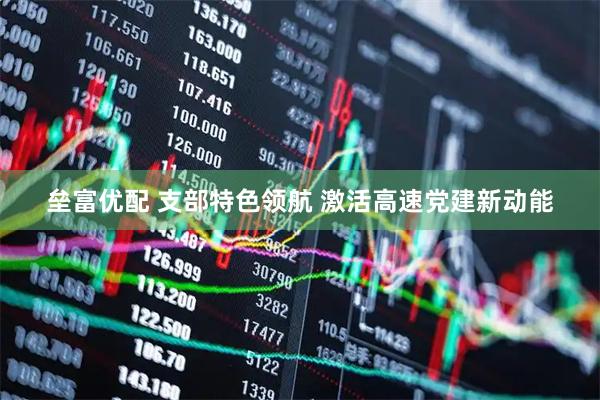 垒富优配 支部特色领航 激活高速党建新动能