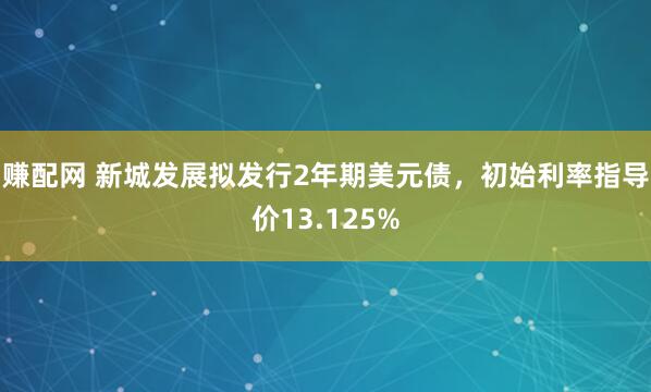 赚配网 新城发展拟发行2年期美元债，初始利率指导价13.125%