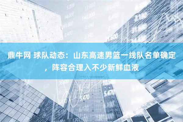 鼎牛网 球队动态：山东高速男篮一线队名单确定，阵容合理入不少新鲜血液