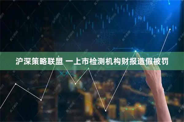 沪深策略联盟 一上市检测机构财报造假被罚