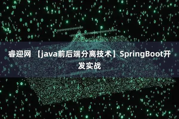 睿迎网 【java前后端分离技术】SpringBoot开发实战