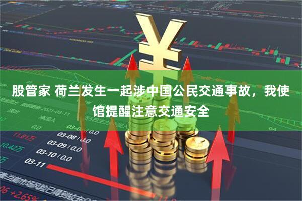 股管家 荷兰发生一起涉中国公民交通事故,我使馆提醒注意交通安全