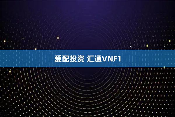 爱配投资 汇通VNF1