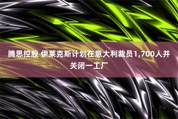 腾思控股 伊莱克斯计划在意大利裁员1,700人并关闭一工厂